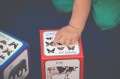 Kartonowe klocki dla dzieci – Zwierzęta / Piramida Zabaw