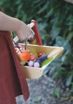 Leśny koszyk odkrywcy / Tender Leaf Toys