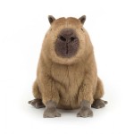Kapibara Clyde 24 cm  / Jellycat CLY6C