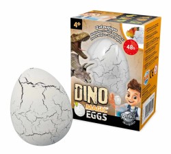 Magiczne jajko dinozaura / Buki D6G