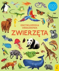 Encyklopedia obrazkowa. Zwierzęta / Wydawnictwo Wilga