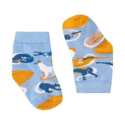 Skarpetki Egipt Koty / FAVES Socks&Friends