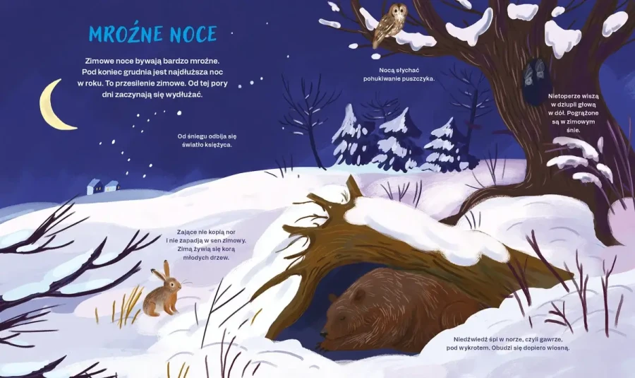 Pory roku są fajne / Wydawnictwo Zielona Sowa