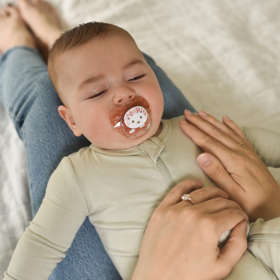 Smoczki Prevent motyl, kolekcja "zwierzęta", 2-pack, różowy / Dr Brown's