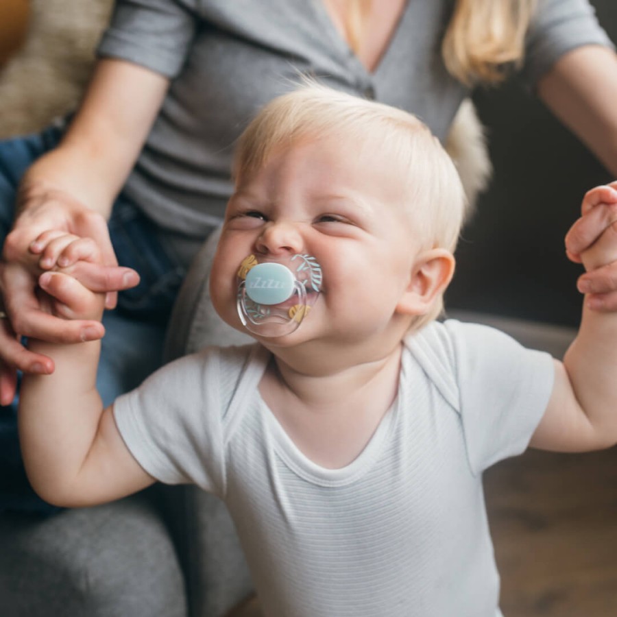 Smoczki Prevent motyl, kolekcja "zwierzęta", 2-pack, różowy / Dr Brown's