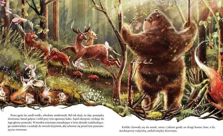 Niedźwiadek szuka przyjaciół / Wydawnictwo Dwukropek