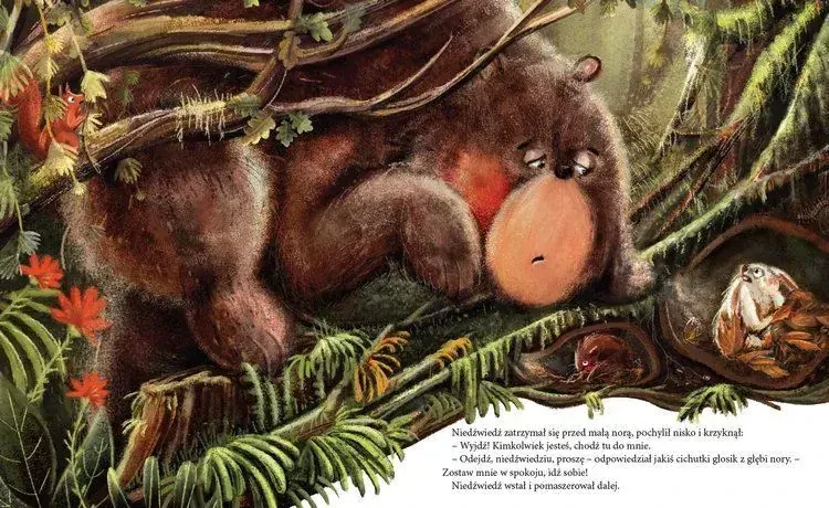 Niedźwiadek szuka przyjaciół / Wydawnictwo Dwukropek