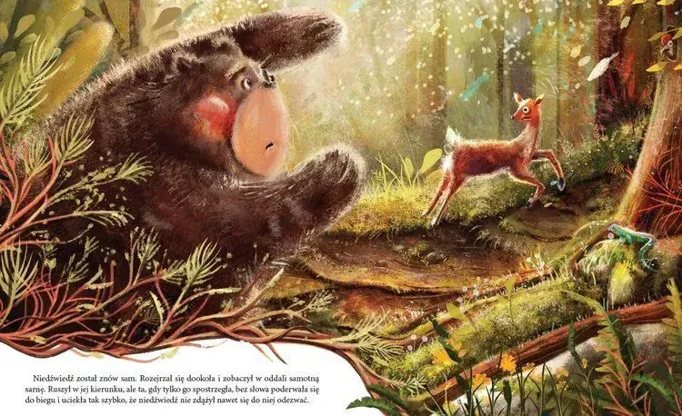 Niedźwiadek szuka przyjaciół / Wydawnictwo Dwukropek