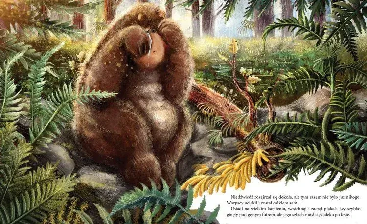 Niedźwiadek szuka przyjaciół / Wydawnictwo Dwukropek