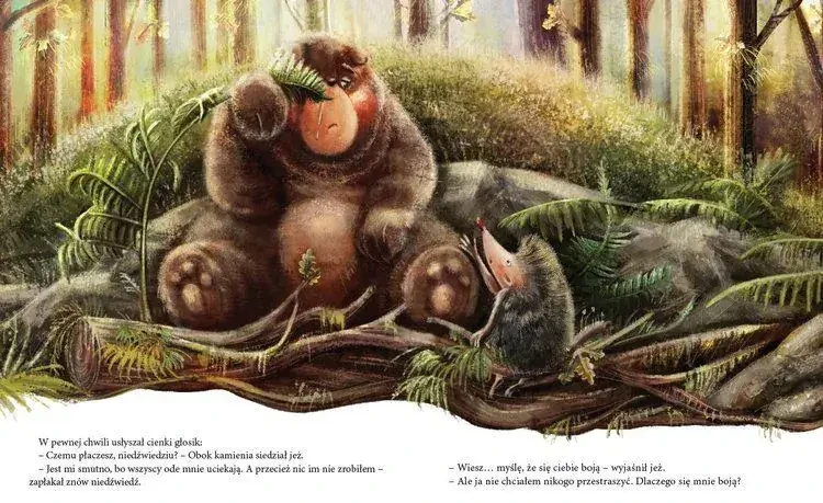 Niedźwiadek szuka przyjaciół / Wydawnictwo Dwukropek