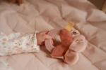 Zestaw prezentowy Fairy Garden / Little Dutch