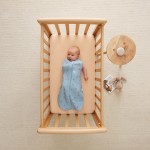 Otulacz, śpiworek 1 TOG - Dragonflies / ergoPouch