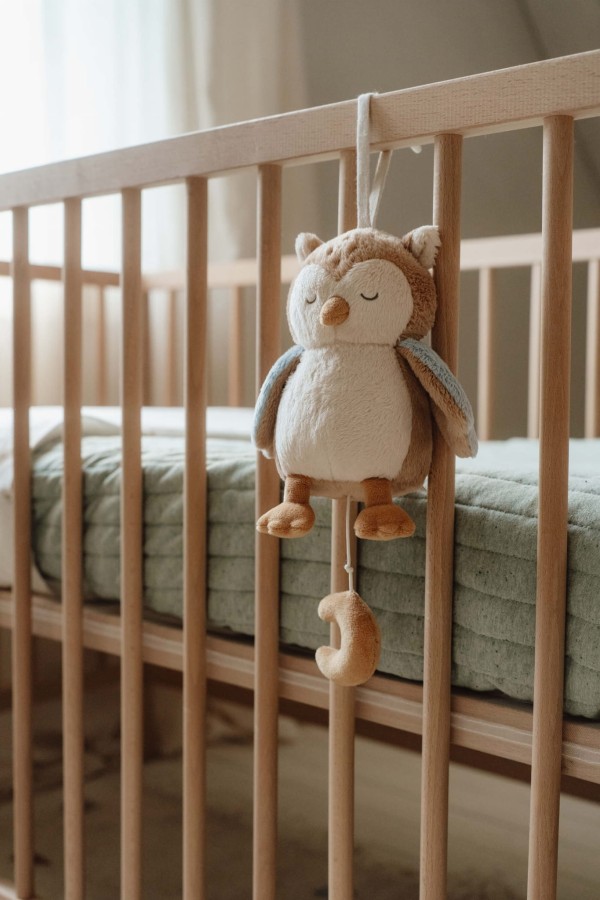 Pozytywka Sówka Forest Friends / Little Dutch