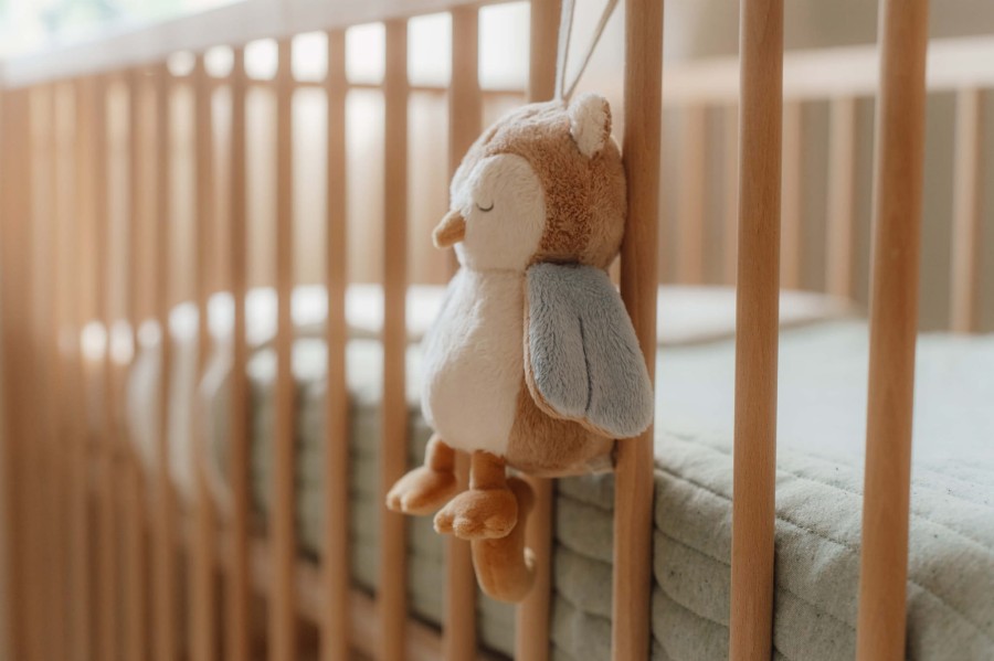 Pozytywka Sówka Forest Friends / Little Dutch