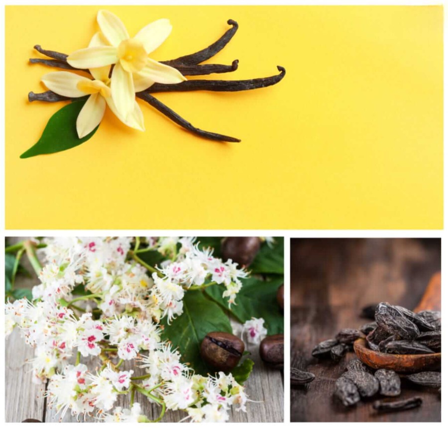 „CUDDLE BUDDY" - pianka do kąpieli, 60g  / Dresdner Essenz