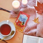 „POŻEGNAJ BRZYDKĄ POGODĘ" - pianka do kąpieli, 60g  / Dresdner Essenz