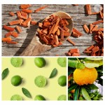 „POŻEGNAJ BRZYDKĄ POGODĘ" - pianka do kąpieli, 60g  / Dresdner Essenz