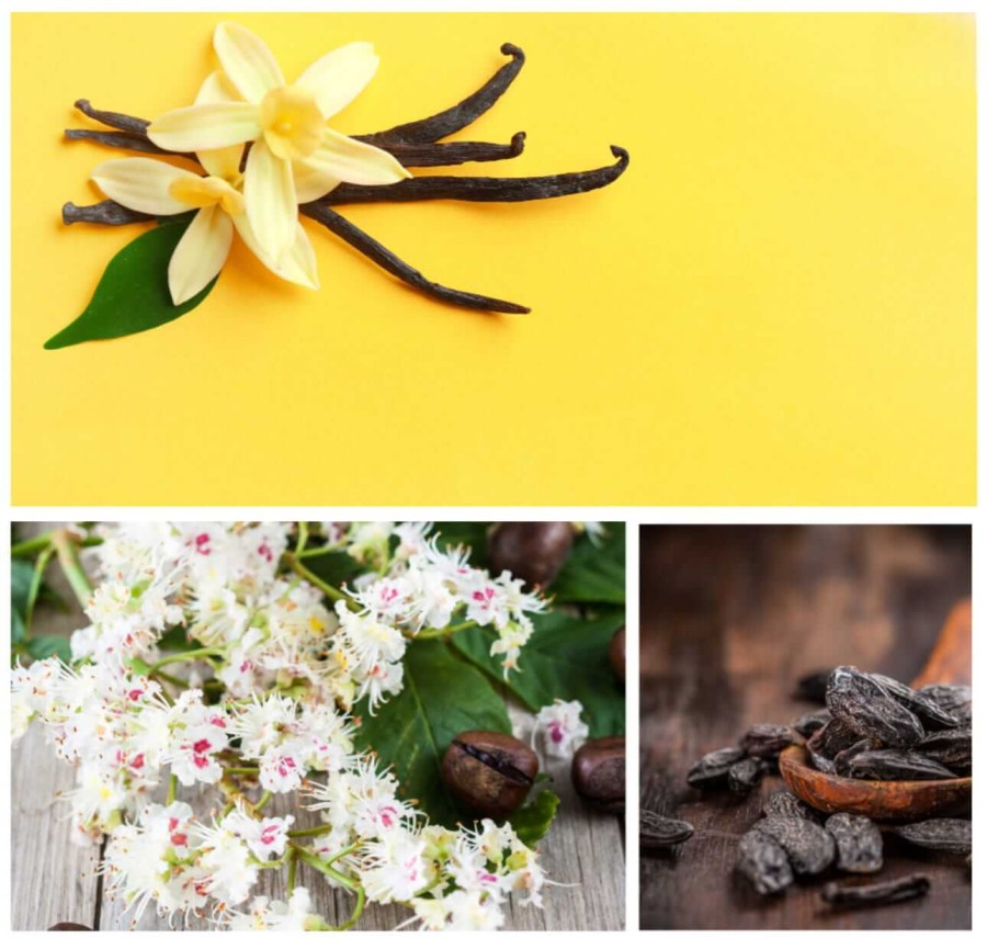 "ŚPIJ DOBRZE" - płyn do kąpieli, 40ml / Dresdner Essenz