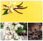 "ŚPIJ DOBRZE" - płyn do kąpieli, 300ml / Dresdner Essenz