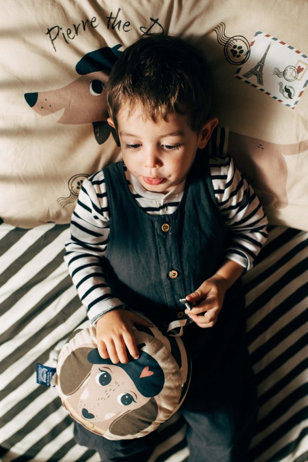 Pozytywka - PIERRE THE DOG / La Millou