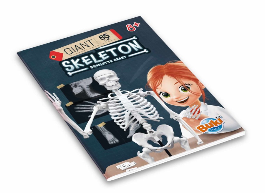 Szkielet człowieka - 85 cm / Buki