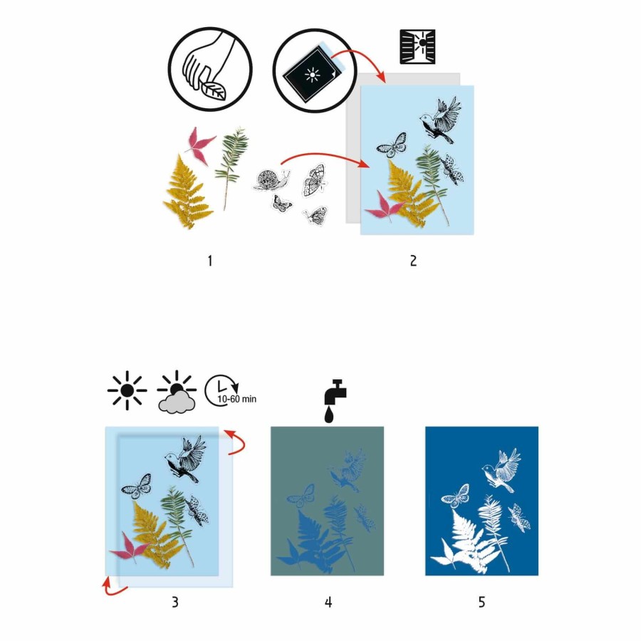 Zestaw artystyczny cyjanotypia LAS 7+ / Djeco