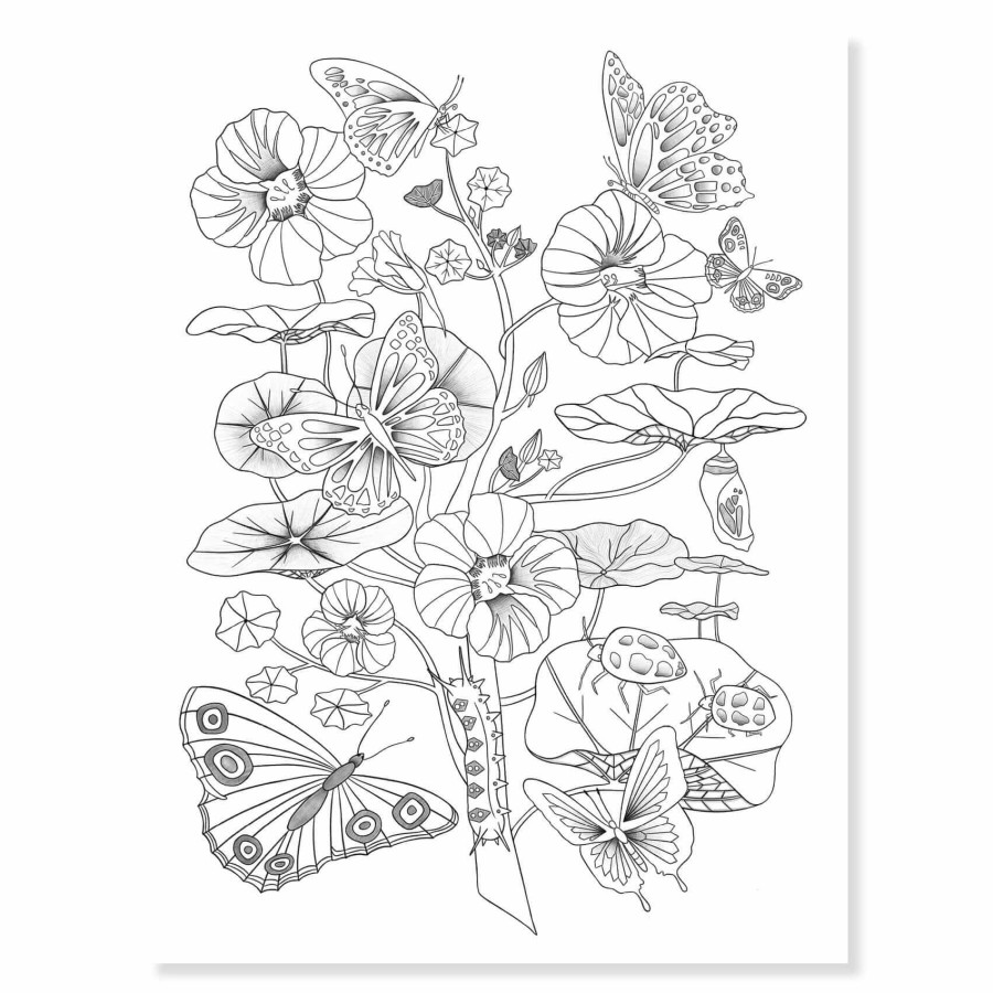 Obrazy do kolorowania w teczce - LAS / Djeco