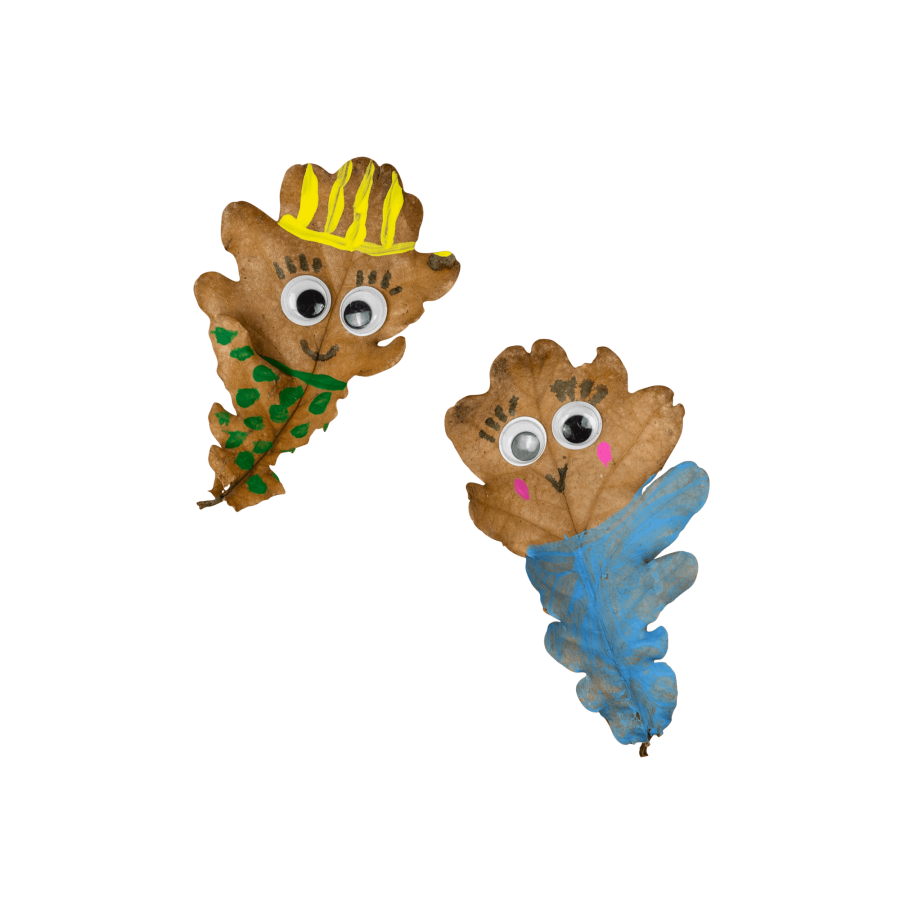 Zestaw artystyczny - Natura / Tiger Tribe