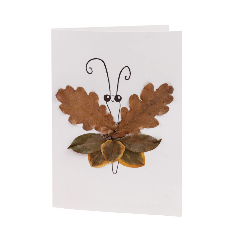 Zestaw artystyczny - Natura / Tiger Tribe