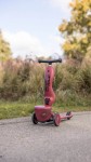Highwaykick 1 Lifestyle 2w1 Jeździk i hulajnoga z zamykanym schowkiem 1-5 lat Wildcat / Scootandride