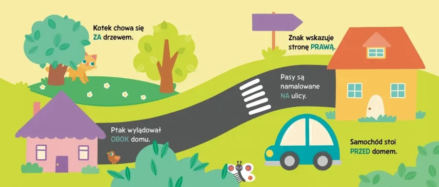 Paluszkowo. Poznaj kierunki / Wydawnictwo Zielona Sowa