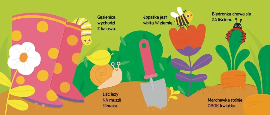 Paluszkowo. Poznaj kierunki / Wydawnictwo Zielona Sowa