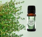 Olejek eteryczny - tymianek biały, tymol ZATOKI, 10 ml / Lullalove