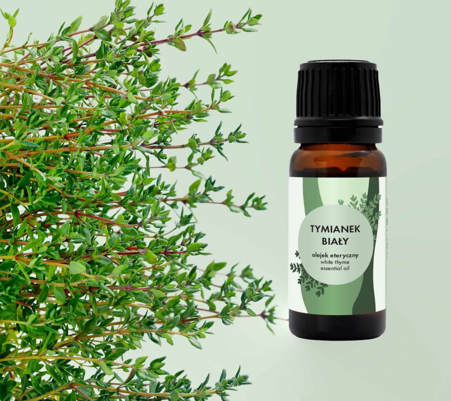 Olejek eteryczny - tymianek biały, tymol ZATOKI, 10 ml / Lullalove