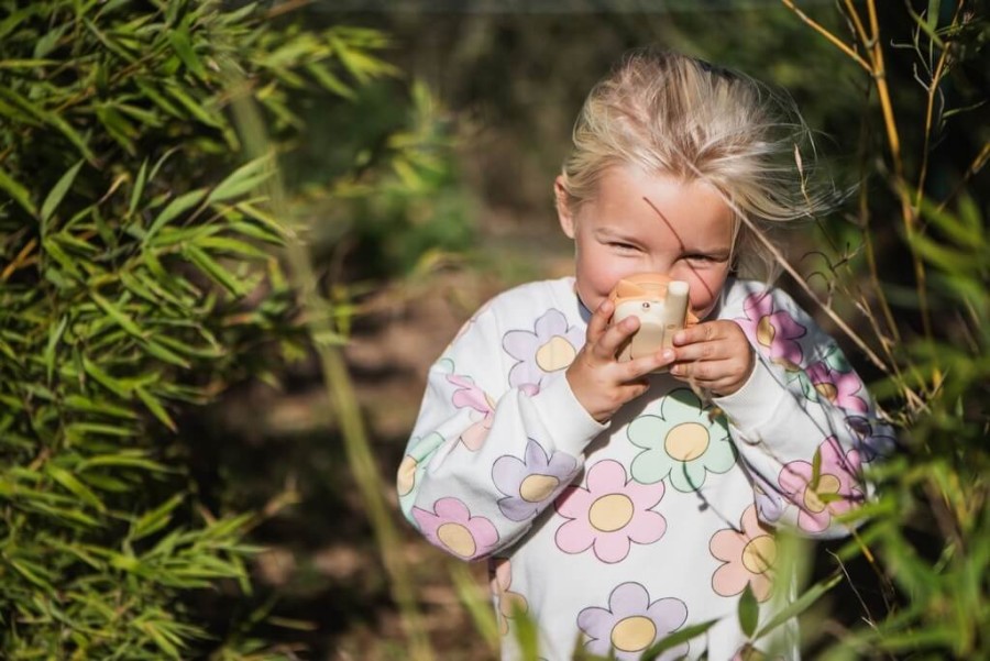 Krótkofalówki dla dzieci Zoo Walkie Talkie - Fox, Fox / The Zoofamily