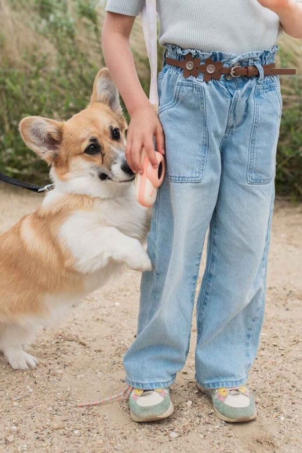 Krótkofalówki dla dzieci Zoo Walkie Talkie - Dino Green, Dino Pink / The Zoofamily