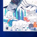 Zestaw do kolorowania z silikonową matą - Boreal Forest / Super Petit