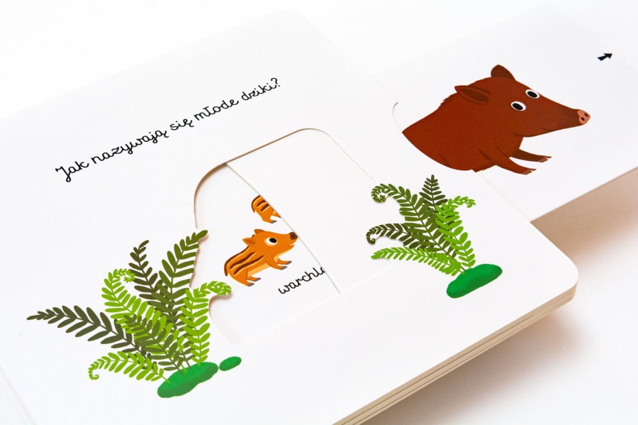 W lesie. Akademia Mądrego Dziecka. Pierwsze słowa / HarperCollins