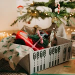 Samochód zdalnie sterowany KIDYCAR - czerwony / Kidywolf