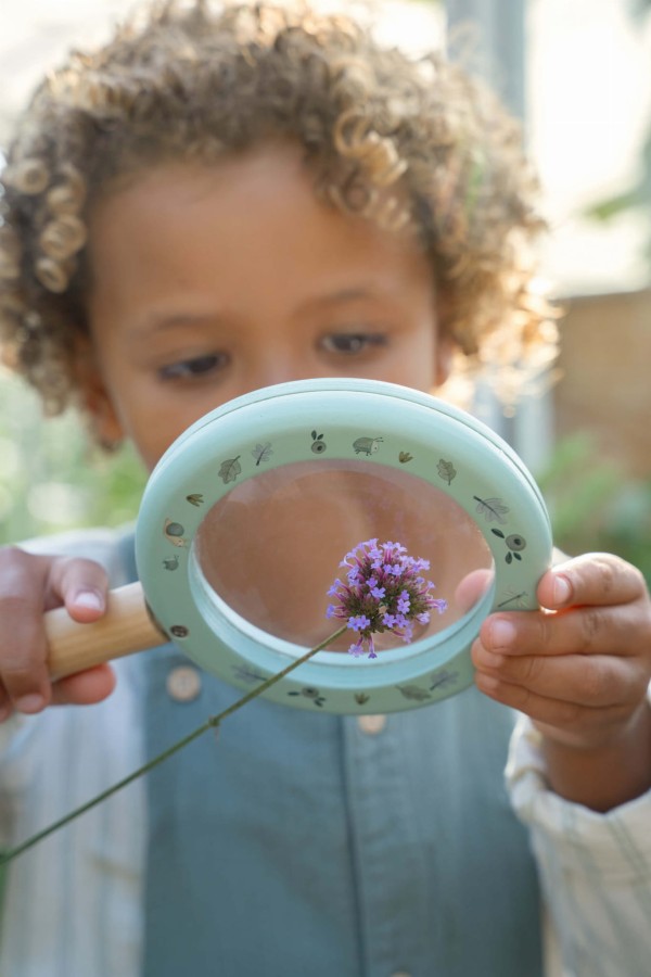 Lupa Fairy Garden / Little Dutch