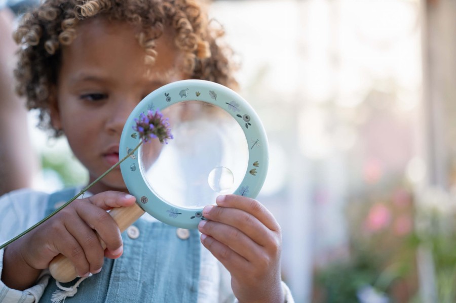 Lupa Fairy Garden / Little Dutch