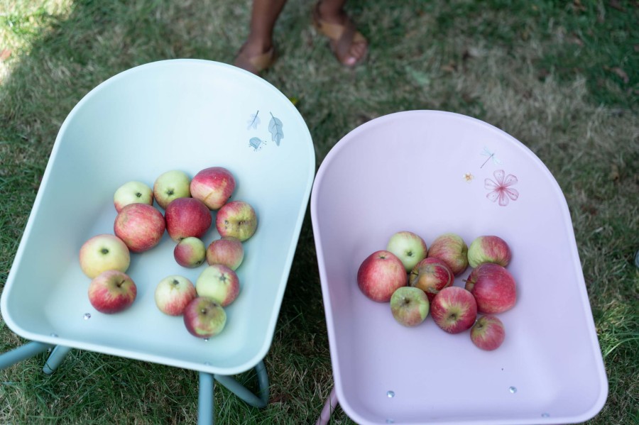 Taczka Fairy Garden / Little Dutch
