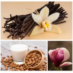 NIE, NIE DZISIAJ! - pianka do kąpieli, 60g  / Dresdner Essenz