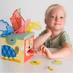 Magiczne Pudełko / Taf Toys