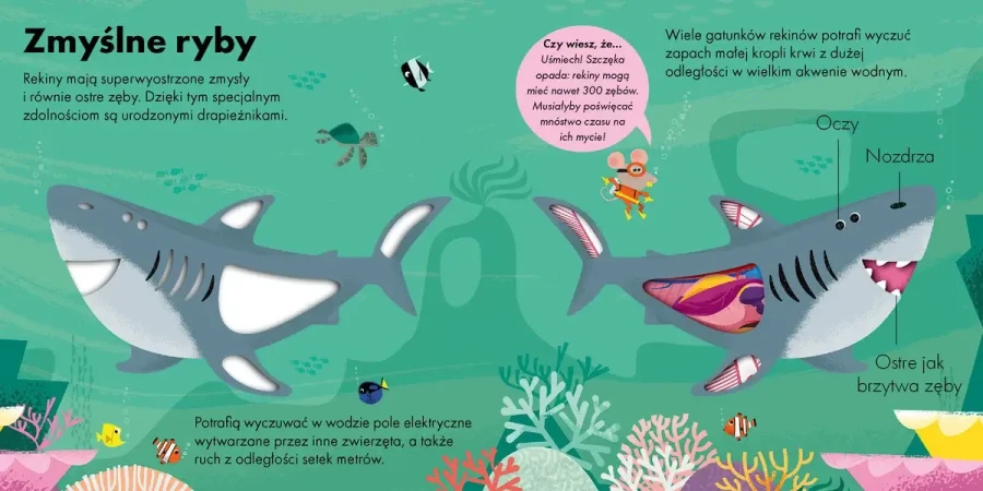 Jak to działa? REKIN / Wydawnictwo Wilga