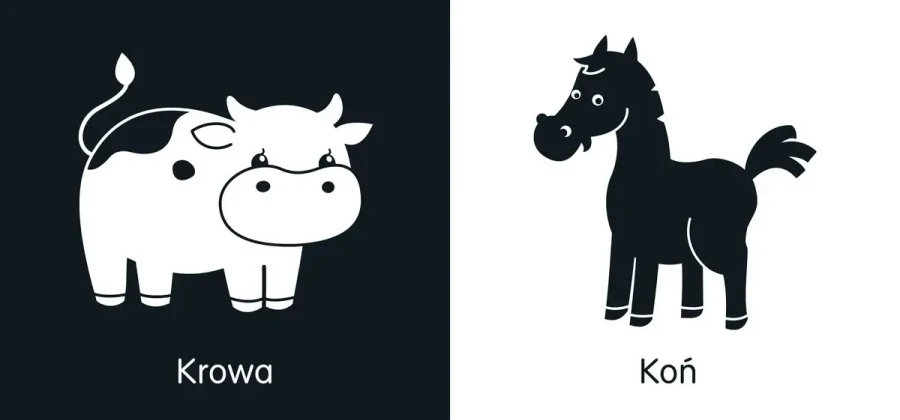 Zwierzęta. Pierwsza książeczka malucha. Kontrastowe książeczki / Wydawnictwo Wilga