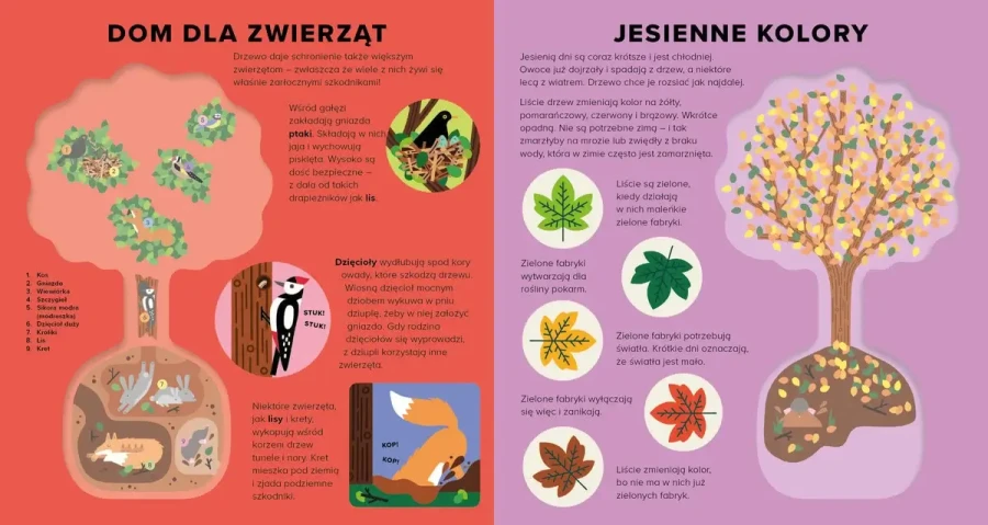 Księga drzew / Wydawnictwo Wilga