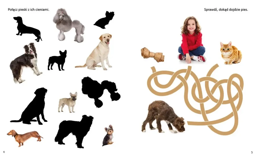 Wesołe łamigłówki. Zwierzęta domowe. Łamigłówki z naklejkami / Wilga