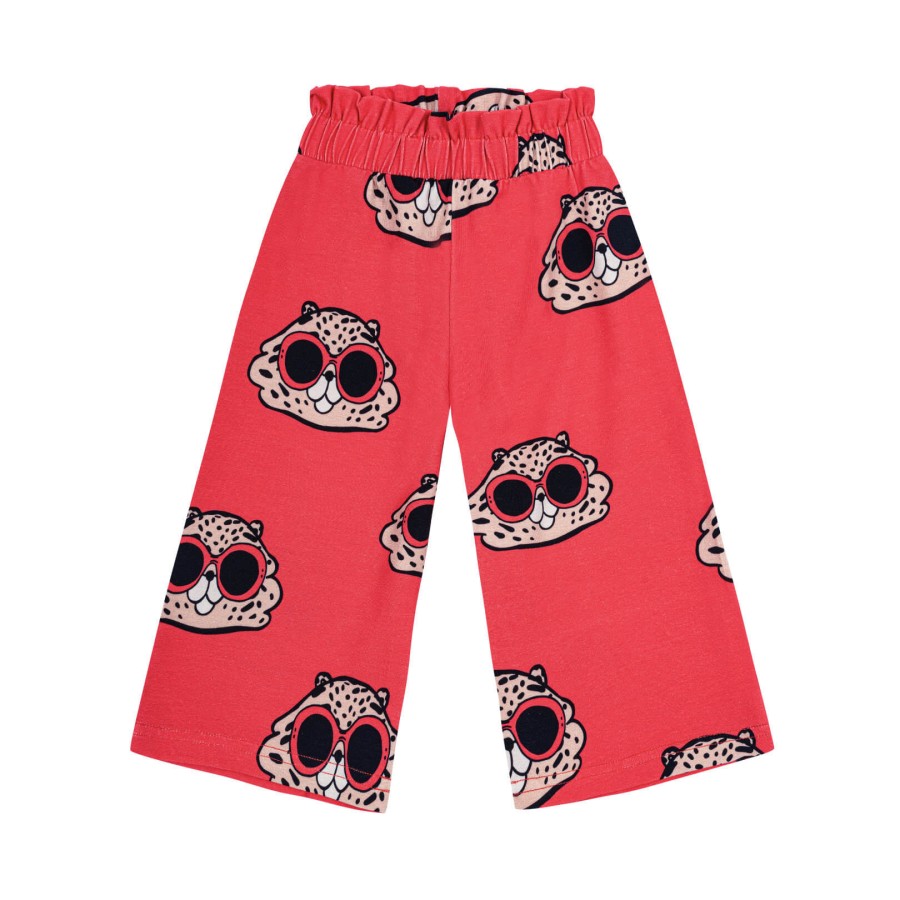 Kuloty - Chomik ceglasty / Dear Sophie