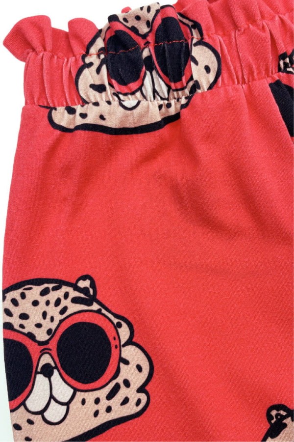 Kuloty - Chomik ceglasty / Dear Sophie